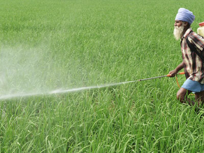 Agriculture (Protection)